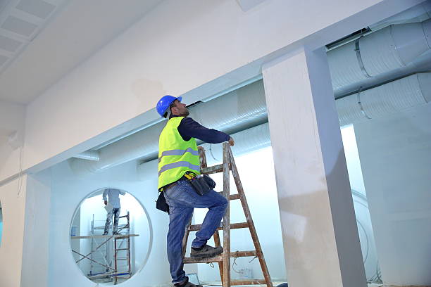 Best Mold Documentation for Insurance Claims  in Vandercook Lake, MI